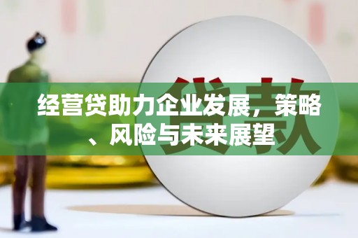 会理经营贷助力企业发展，策略、风险与未来展望