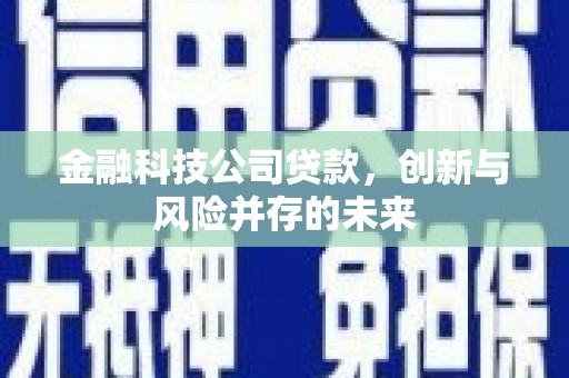 会理金融科技公司贷款，创新与风险并存的未来