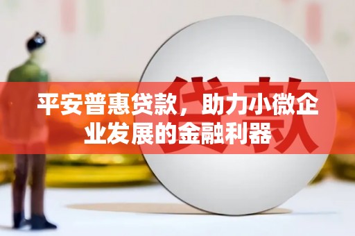 会理平安普惠贷款，助力小微企业发展的金融利器