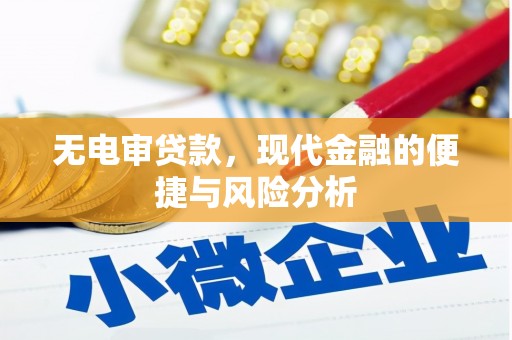 会理无电审贷款，现代金融的便捷与风险分析