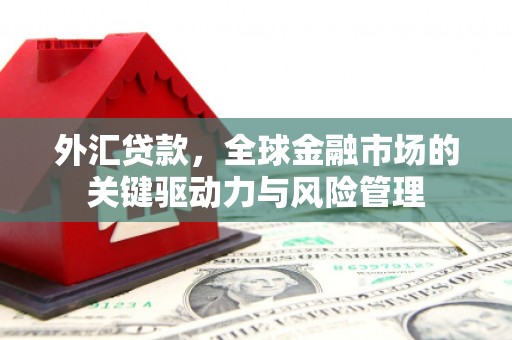 会理外汇贷款，全球金融市场的关键驱动力与风险管理