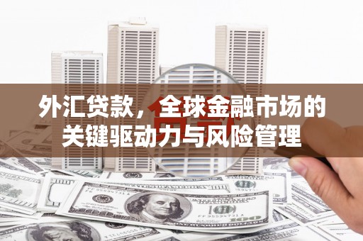 会理外汇贷款，全球金融市场的关键驱动力与风险管理