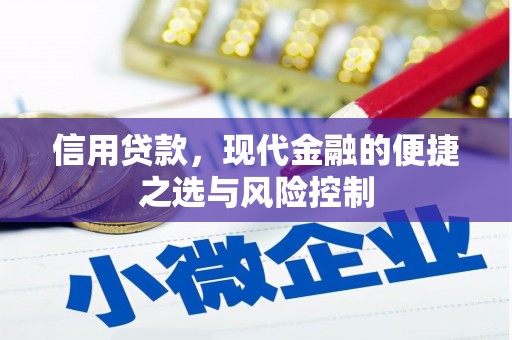 会理信用贷款，现代金融的便捷之选与风险控制