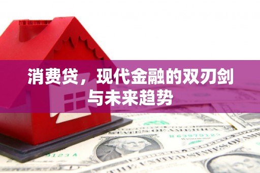 会理消费贷，现代金融的双刃剑与未来趋势