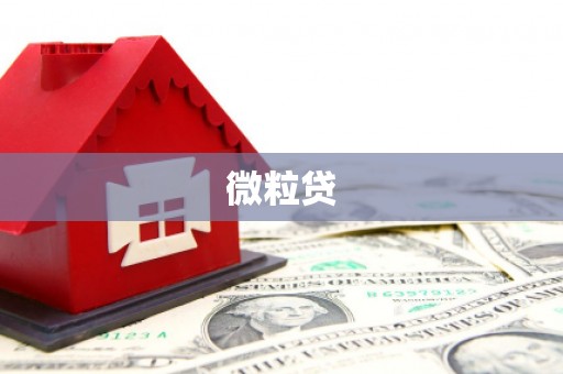 会理微粒贷