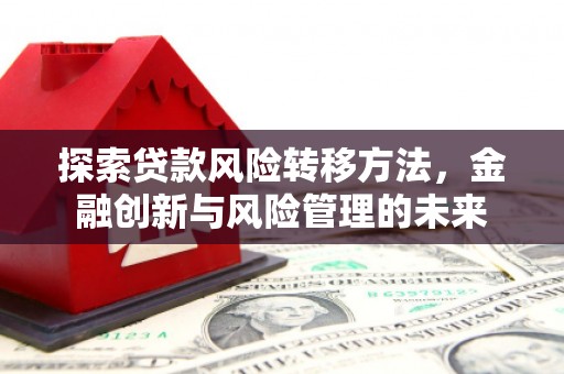会理探索贷款风险转移方法，金融创新与风险管理的未来