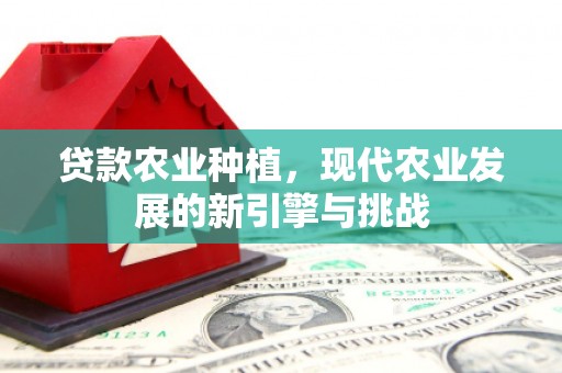 会理贷款农业种植，现代农业发展的新引擎与挑战