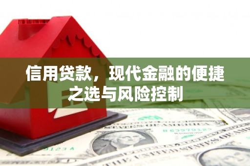 会理信用贷款，现代金融的便捷之选与风险控制