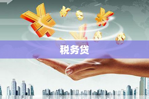 会理税务贷