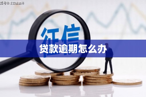 会理贷款逾期怎么办