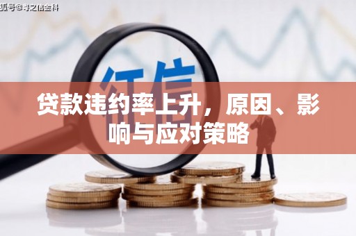 会理贷款违约率上升，原因、影响与应对策略