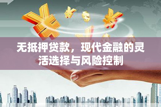 会理无抵押贷款，现代金融的灵活选择与风险控制