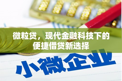 会理微粒贷，现代金融科技下的便捷借贷新选择