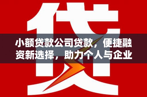 会理小额贷款公司贷款，便捷融资新选择，助力个人与企业成长