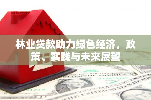 会理林业贷款助力绿色经济，政策、实践与未来展望