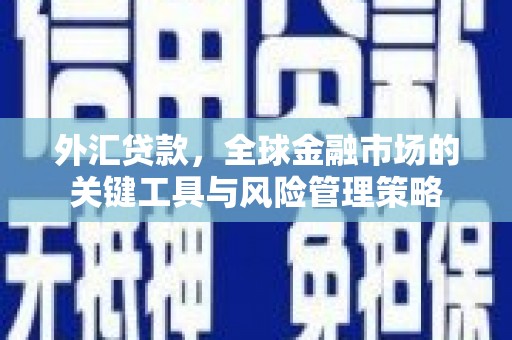 会理外汇贷款，全球金融市场的关键工具与风险管理策略