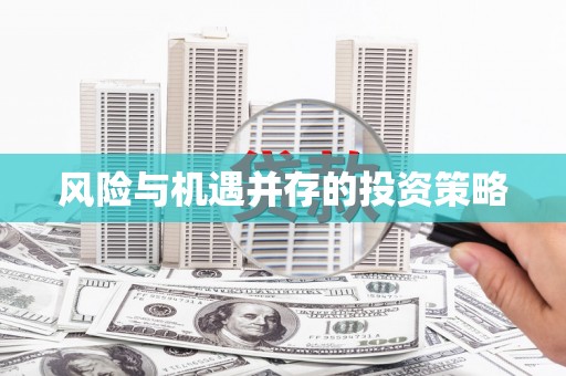会理风险与机遇并存的投资策略