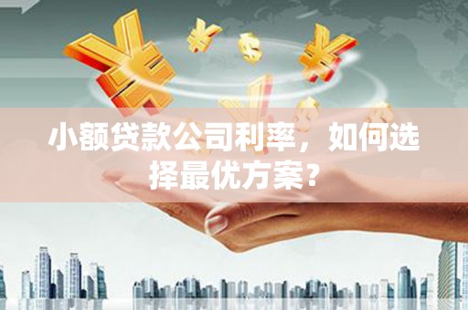 会理小额贷款公司利率，如何选择最优方案？