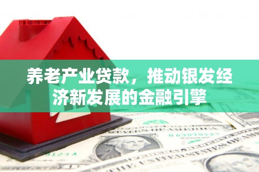 会理养老产业贷款，推动银发经济新发展的金融引擎