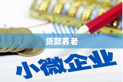 会理贷款养老