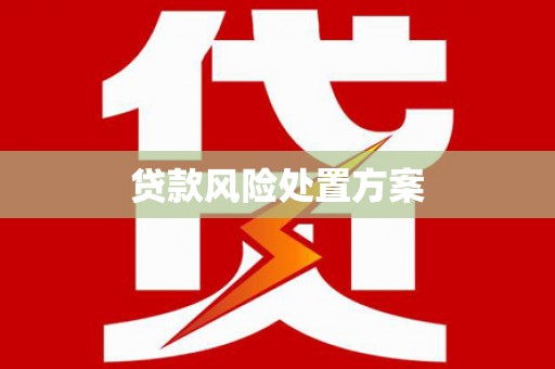 会理贷款风险处置方案