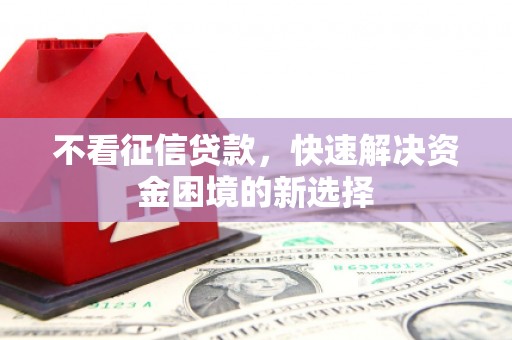 会理不看征信贷款，快速解决资金困境的新选择