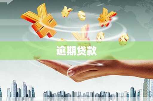 会理逾期贷款