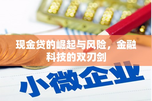 会理现金贷的崛起与风险，金融科技的双刃剑