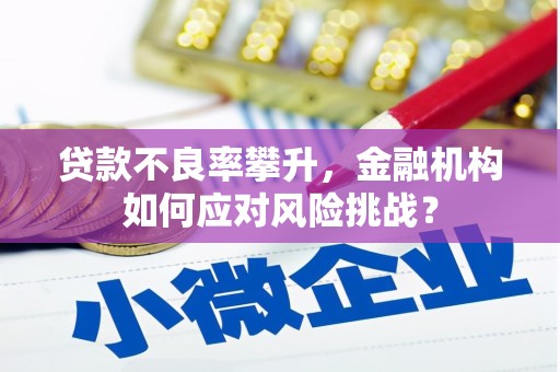 会理贷款不良率攀升，金融机构如何应对风险挑战？