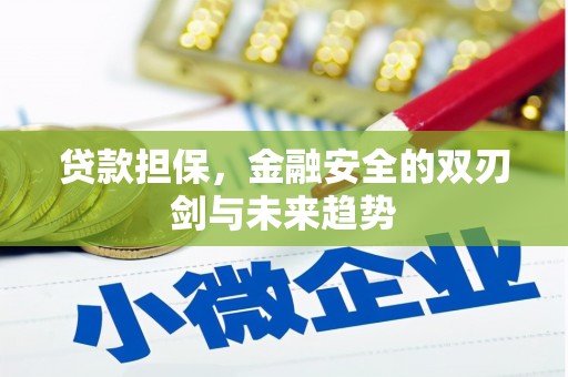 会理贷款担保，金融安全的双刃剑与未来趋势