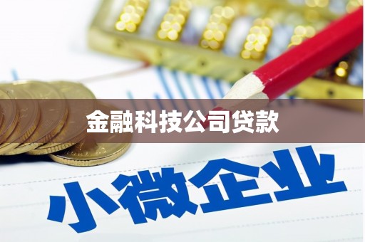 会理金融科技公司贷款