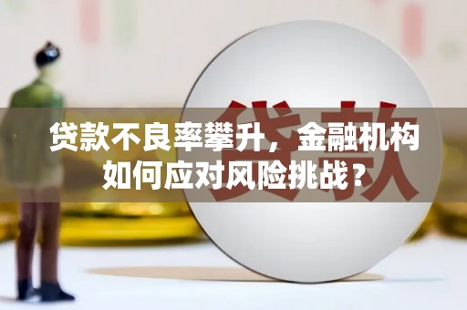 会理贷款不良率攀升，金融机构如何应对风险挑战？