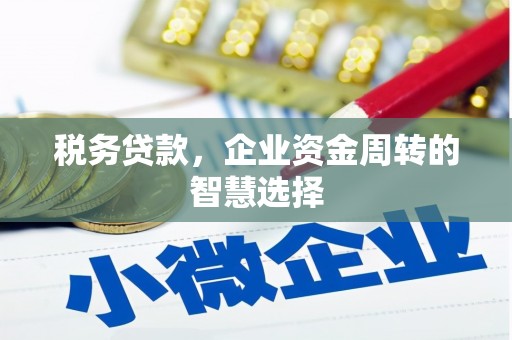 会理税务贷款，企业资金周转的智慧选择