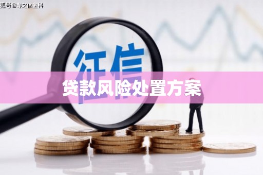 会理贷款风险处置方案