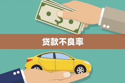 会理贷款不良率