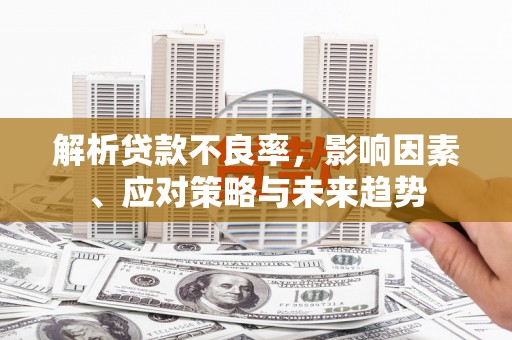 会理解析贷款不良率，影响因素、应对策略与未来趋势