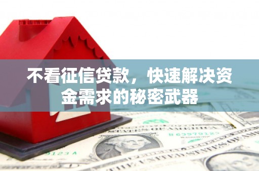 会理不看征信贷款，快速解决资金需求的秘密武器