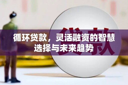会理循环贷款，灵活融资的智慧选择与未来趋势