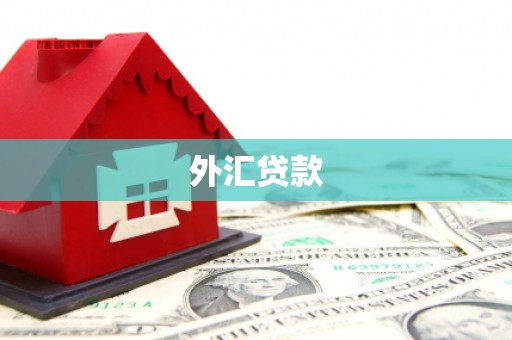 会理外汇贷款