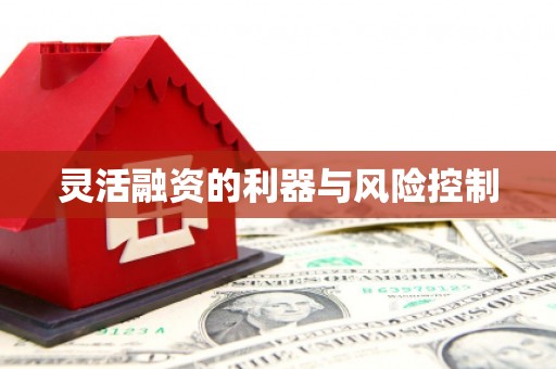 会理灵活融资的利器与风险控制