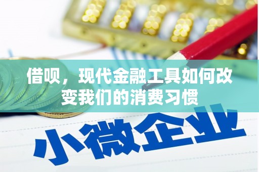 会理借呗，现代金融工具如何改变我们的消费习惯