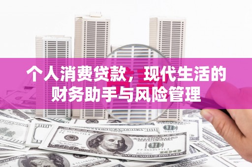 会理个人消费贷款，现代生活的财务助手与风险管理