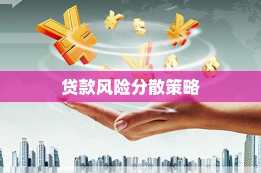 会理贷款风险分散策略