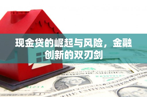 会理现金贷的崛起与风险，金融创新的双刃剑