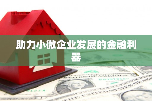 会理助力小微企业发展的金融利器