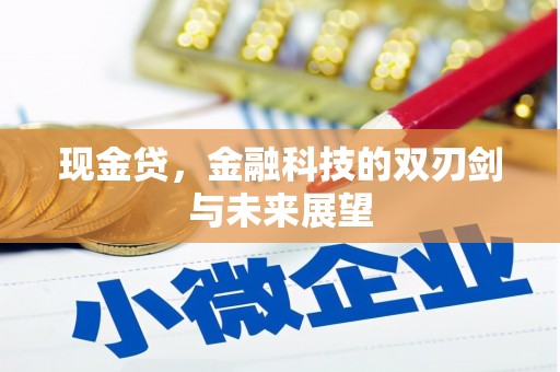 会理现金贷，金融科技的双刃剑与未来展望