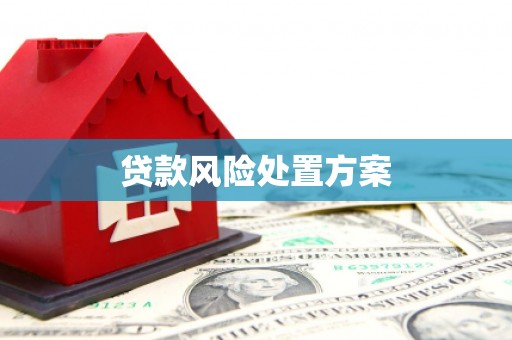 会理贷款风险处置方案