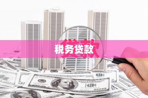 会理税务贷款