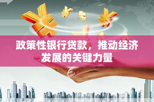 会理政策性银行贷款，推动经济发展的关键力量