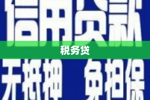 会理税务贷